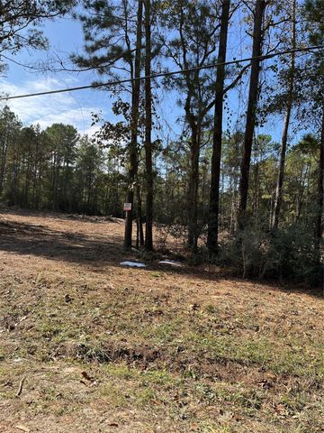 A0181 Northwest Passage, Plantersville, TX 77363