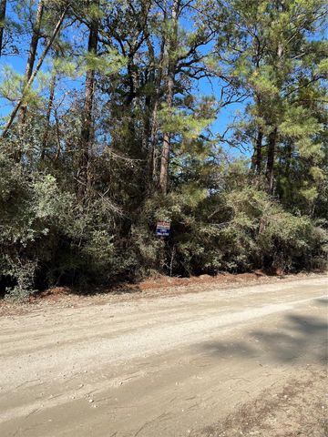 A0181 Northwest Passage, Plantersville, TX 77363