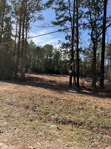 A0181 Northwest Passage, Plantersville, TX 77363