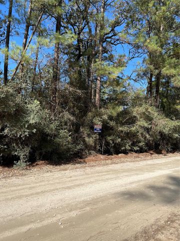 A0181 Northwest Passage, Plantersville, TX 77363