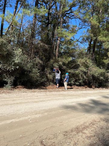 A0181 Northwest Passage, Plantersville, TX 77363