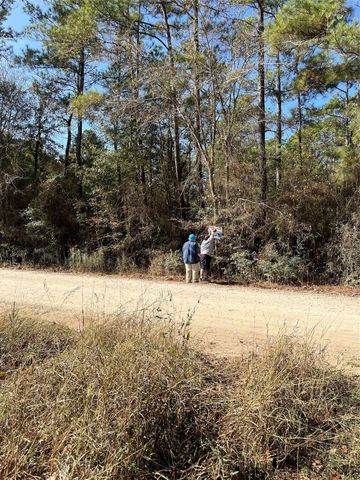 A0181 Northwest Passage, Plantersville, TX 77363