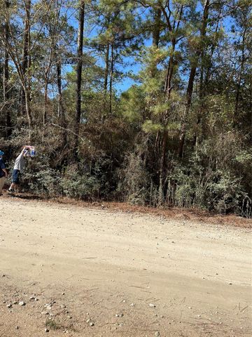 A0181 Northwest Passage, Plantersville, TX 77363