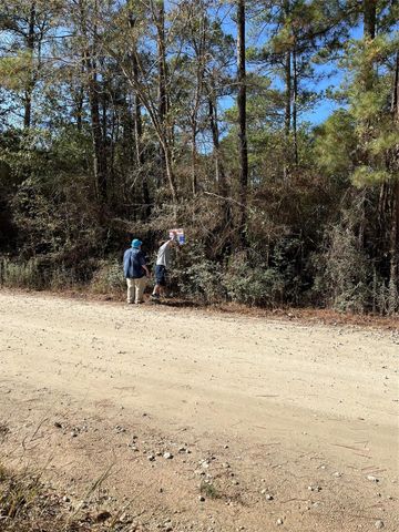 A0181 Northwest Passage, Plantersville, TX 77363