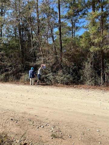 A0181 Northwest Passage, Plantersville, TX 77363