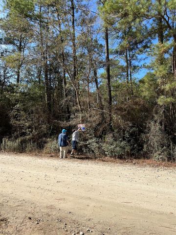 A0181 Northwest Passage, Plantersville, TX 77363