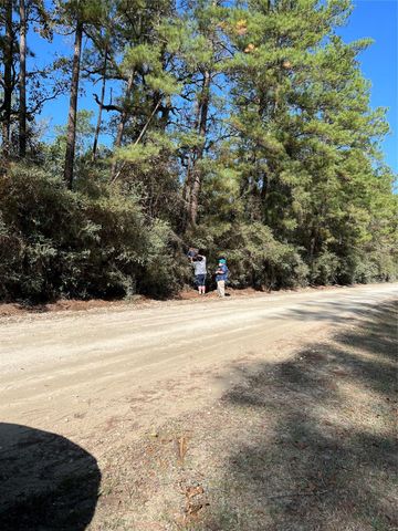 A0181 Northwest Passage, Plantersville, TX 77363