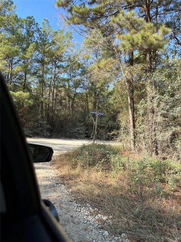 A0181 Northwest Passage, Plantersville, TX 77363