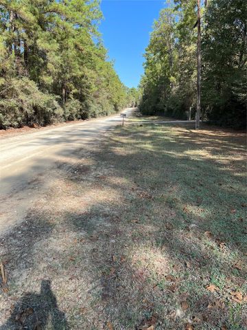 A0181 Northwest Passage, Plantersville, TX 77363