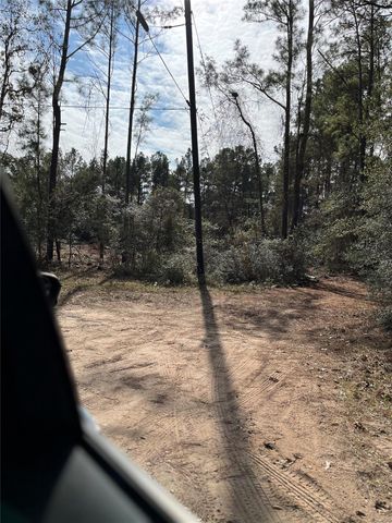 A0181 Northwest Passage, Plantersville, TX 77363