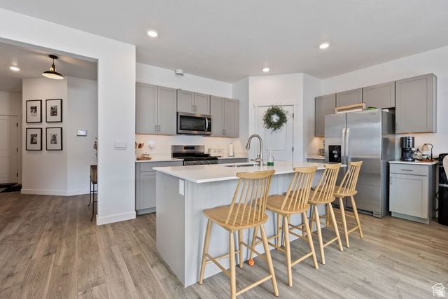 1323 S RAINTREE LN, Santaquin, UT 84655