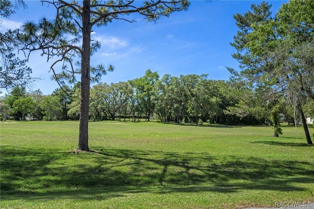 14 Redbay Court E, Homosassa, FL 34446