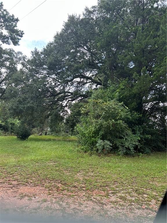 4033 Cottage Hill Road, Mobile, AL 36609 — photo 2