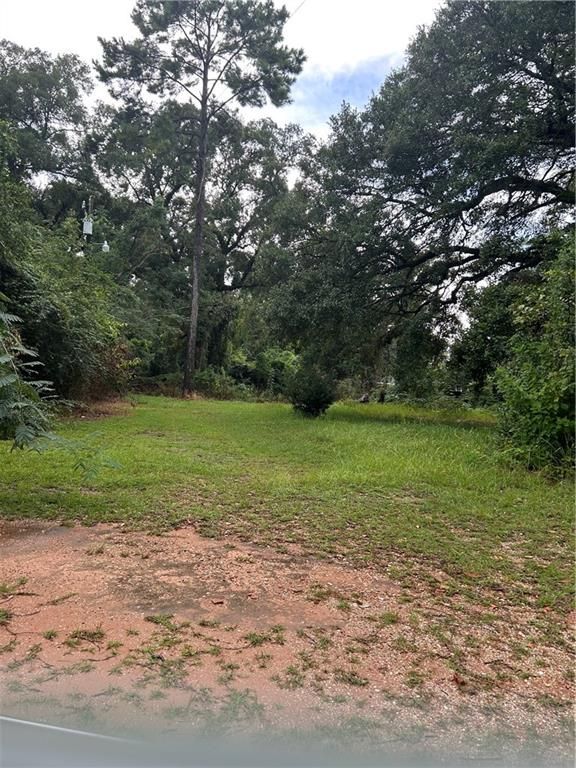 4033 Cottage Hill Road, Mobile, AL 36609 — photo 4