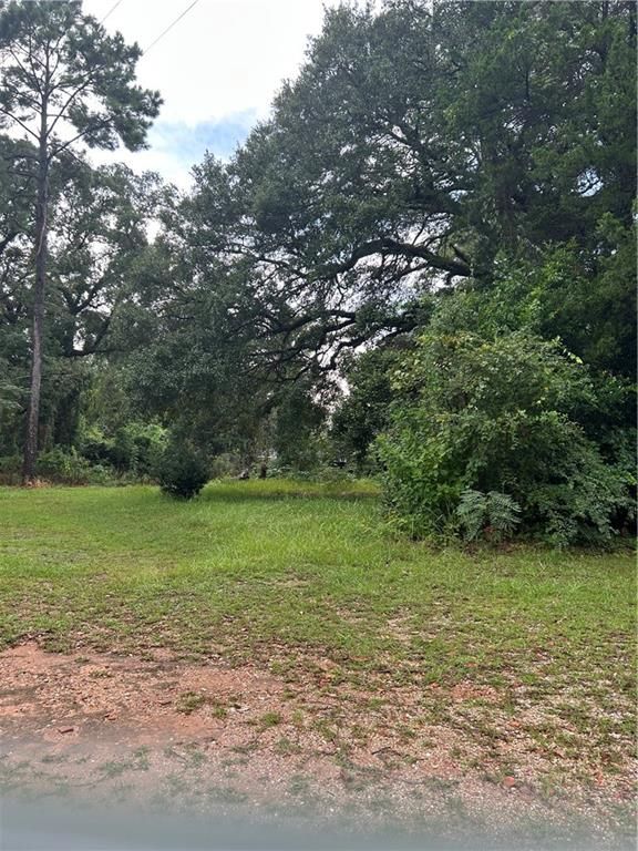 4033 Cottage Hill Road, Mobile, AL 36609 — photo 5