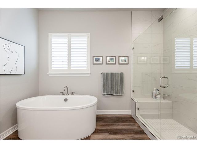 124 Kitselman Dr, Castle Rock, CO 80104