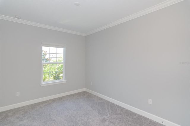 3390 FRANCOA DRIVE, Odessa, FL 33556