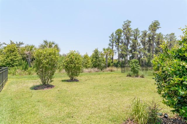 3390 FRANCOA DRIVE, Odessa, FL 33556