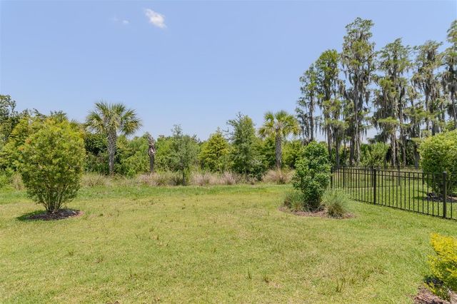 3390 FRANCOA DRIVE, Odessa, FL 33556