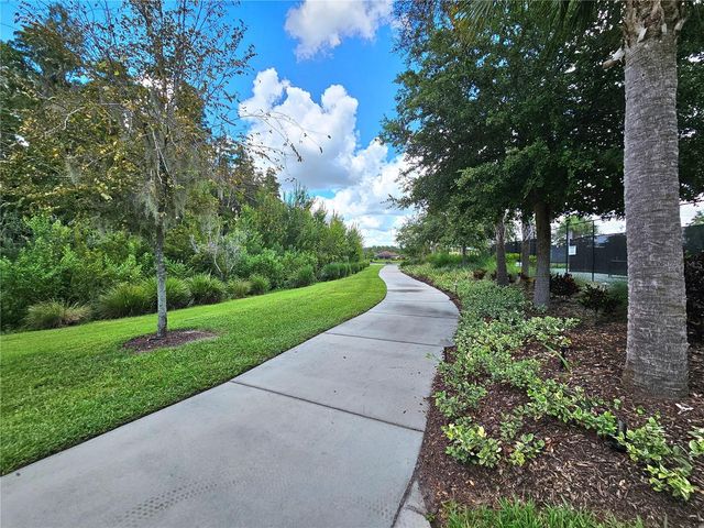 3390 FRANCOA DRIVE, Odessa, FL 33556
