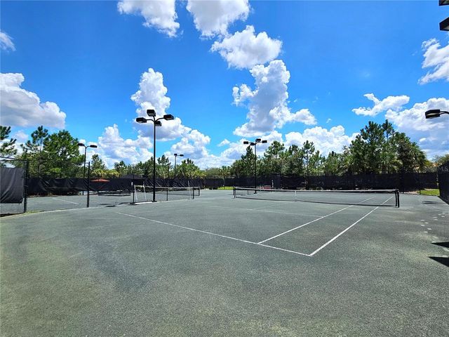 3390 FRANCOA DRIVE, Odessa, FL 33556
