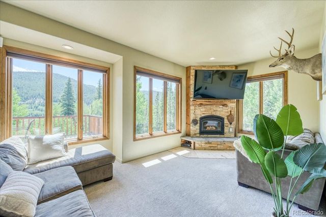 234 Peterson Drive, Fairplay, CO 80440