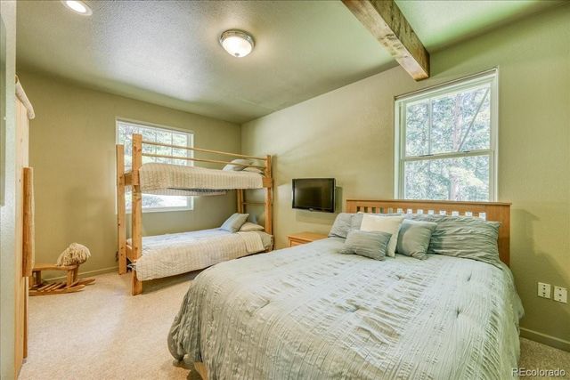 234 Peterson Drive, Fairplay, CO 80440