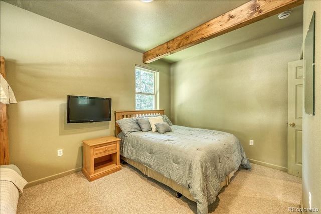 234 Peterson Drive, Fairplay, CO 80440