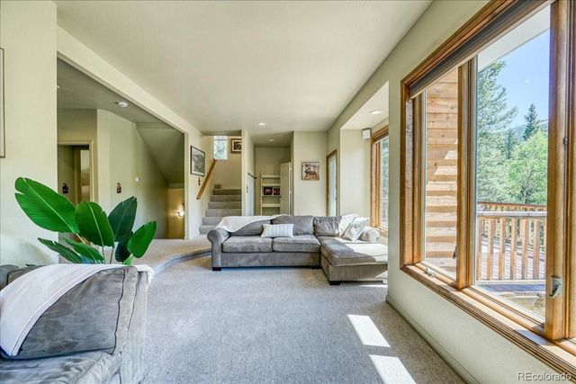 234 Peterson Drive, Fairplay, CO 80440