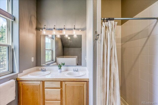 234 Peterson Drive, Fairplay, CO 80440