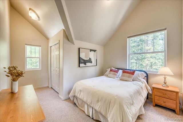 234 Peterson Drive, Fairplay, CO 80440