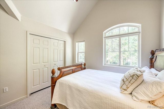 234 Peterson Drive, Fairplay, CO 80440