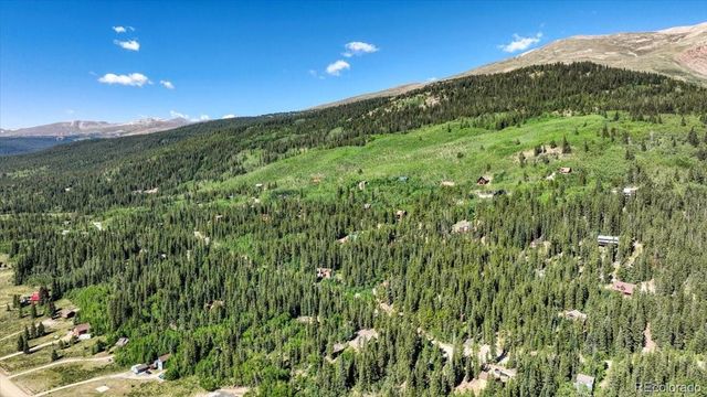 234 Peterson Drive, Fairplay, CO 80440