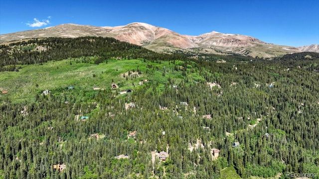 234 Peterson Drive, Fairplay, CO 80440