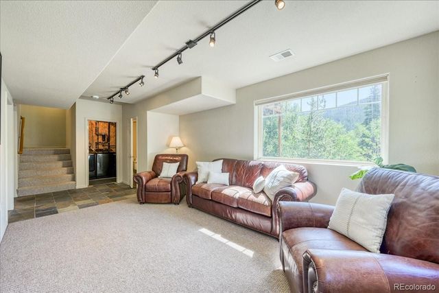 234 Peterson Drive, Fairplay, CO 80440