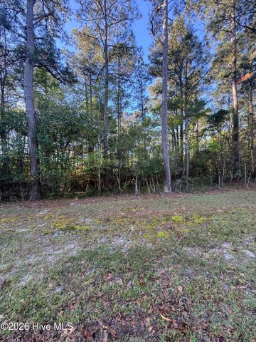 43 Pond View Circle E, Hampstead, NC 28443