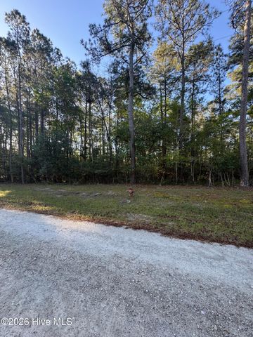 43 Pond View Circle E, Hampstead, NC 28443
