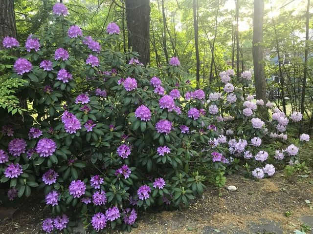 500 Old Harvard Rd, Boxborough, MA 01719