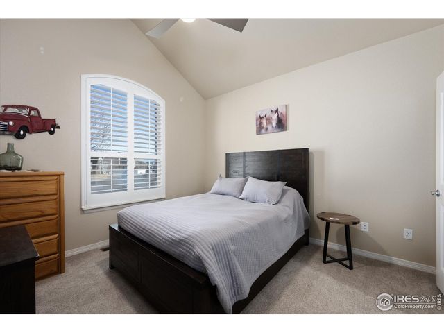 355 Antora Ct, Windsor, CO 80550
