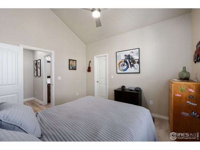 355 Antora Ct, Windsor, CO 80550