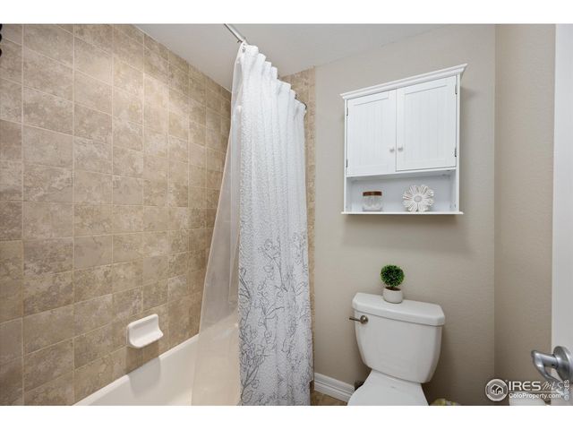 355 Antora Ct, Windsor, CO 80550