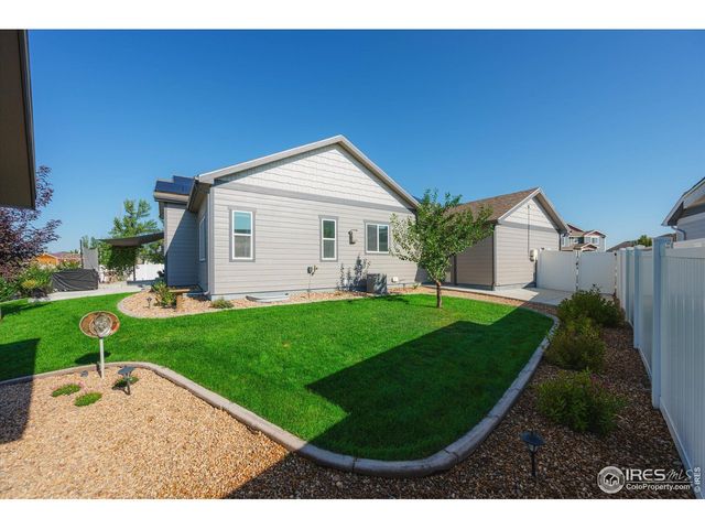355 Antora Ct, Windsor, CO 80550