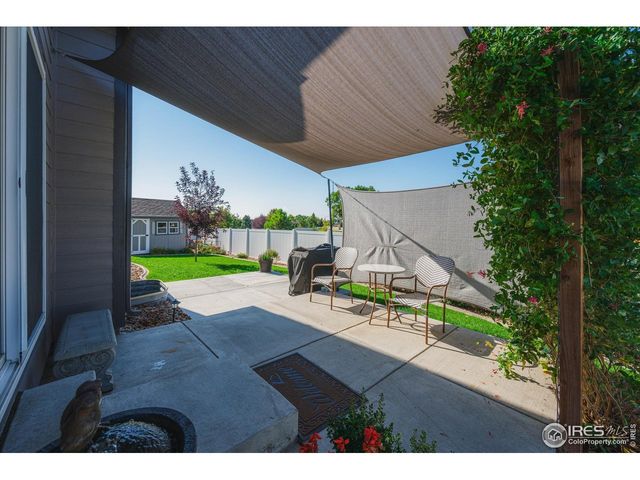 355 Antora Ct, Windsor, CO 80550