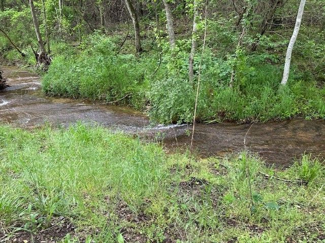 3437 County Road 995, Green Forest, AR 72638