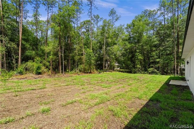 6097 N Darlington Drive, Citrus Springs, FL 34434