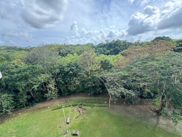 Carr. 199 PASEO DEL BOSQUE 3-507, San Juan, PR 00926
