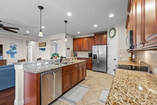 30201 HACKNEY LOOP, Mount Dora, FL 32757
