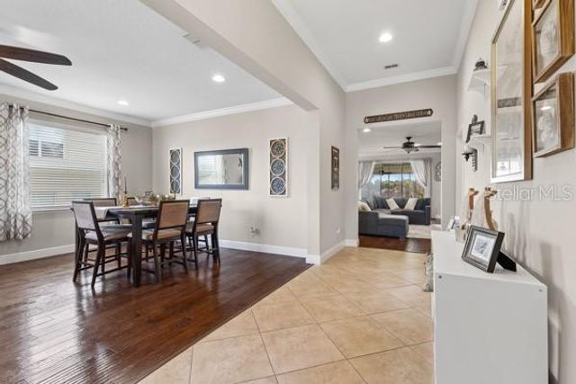 30201 HACKNEY LOOP, Mount Dora, FL 32757