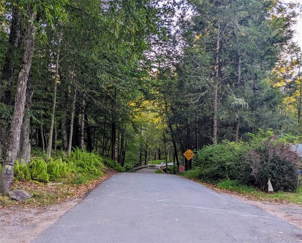 24 N Mohican Trail, Smallwood, NY 12778