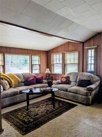 24 N Mohican Trail, Smallwood, NY 12778